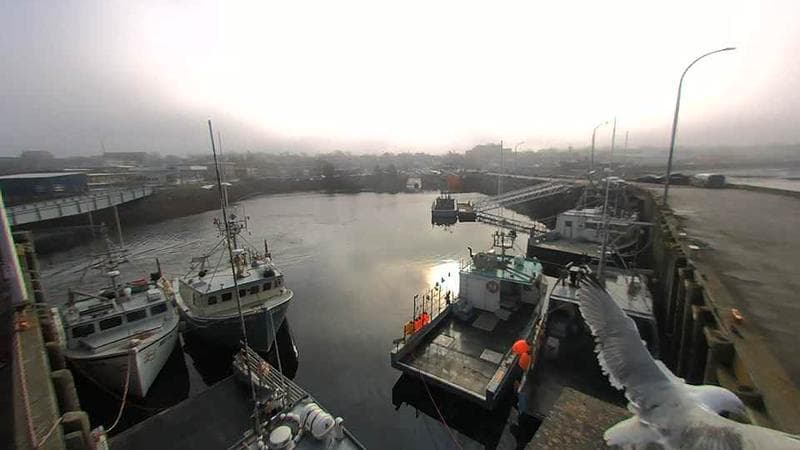 Lobster Rock Wharf East