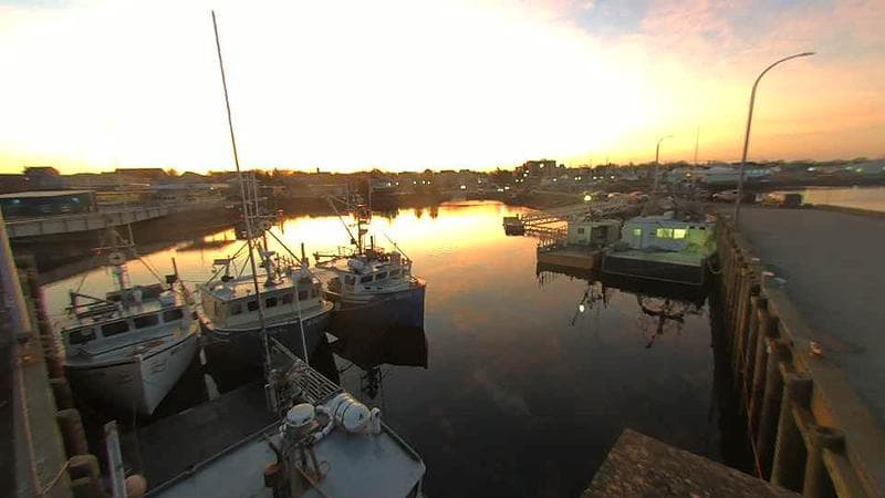 Lobster Rock Wharf East