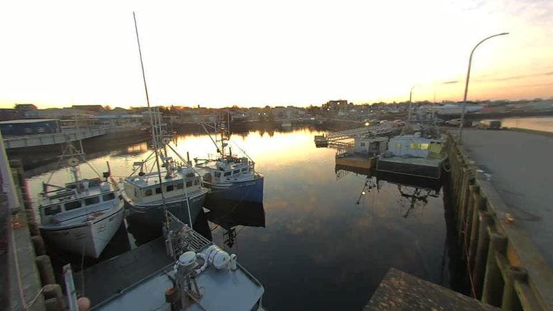 Lobster Rock Wharf East