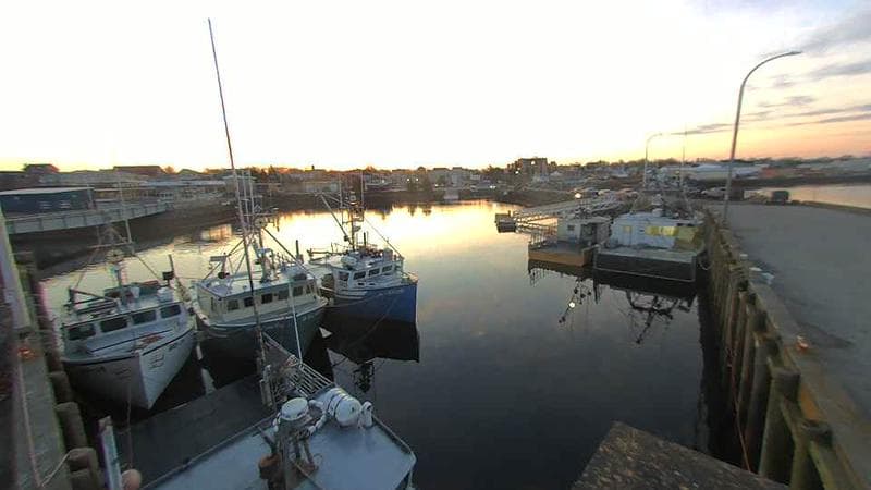 Lobster Rock Wharf East