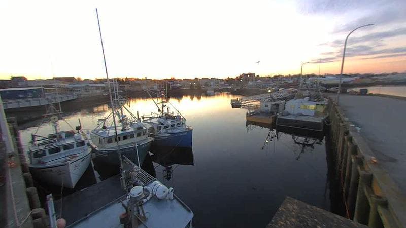 Lobster Rock Wharf East