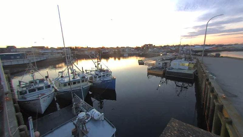 Lobster Rock Wharf East