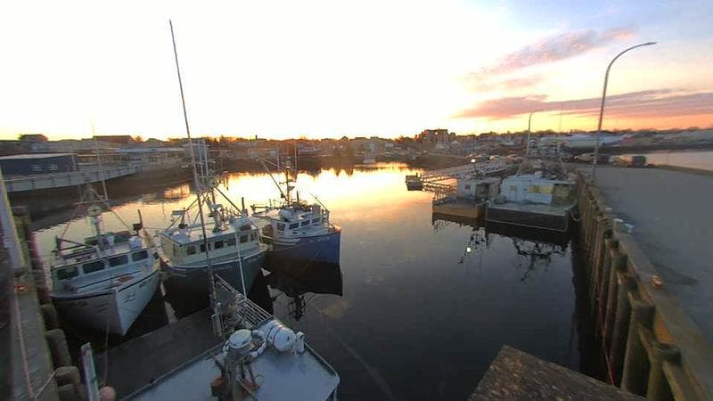 Lobster Rock Wharf East