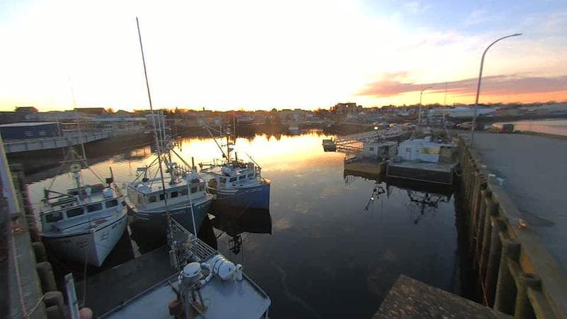 Lobster Rock Wharf East