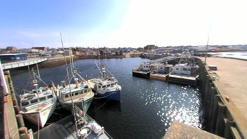 Lobster Rock Wharf East