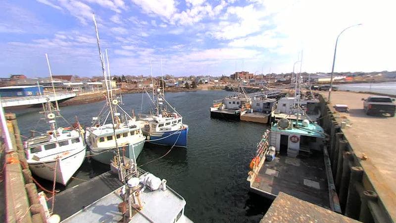 Lobster Rock Wharf East