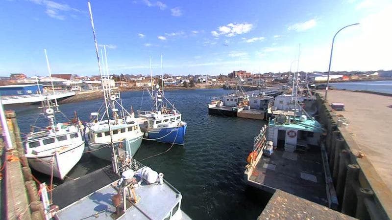 Lobster Rock Wharf East