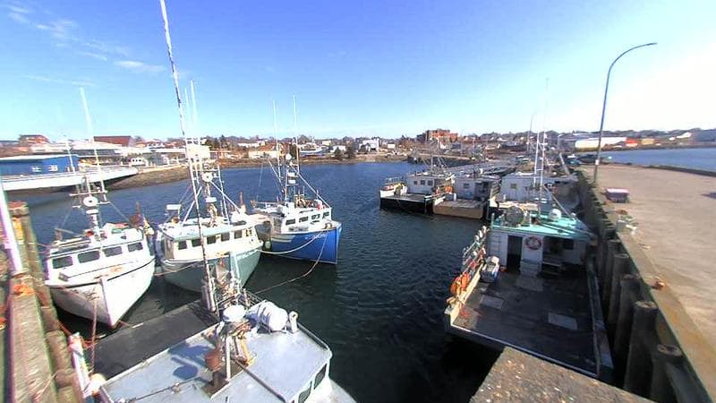 Lobster Rock Wharf East