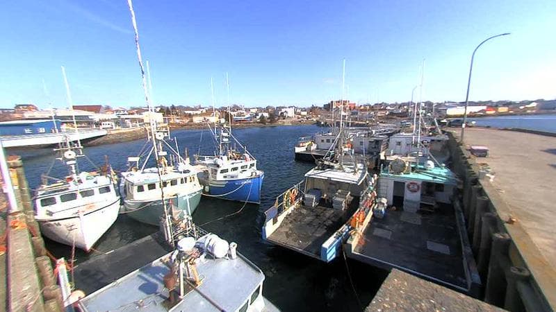 Lobster Rock Wharf East