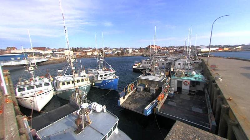 Lobster Rock Wharf East