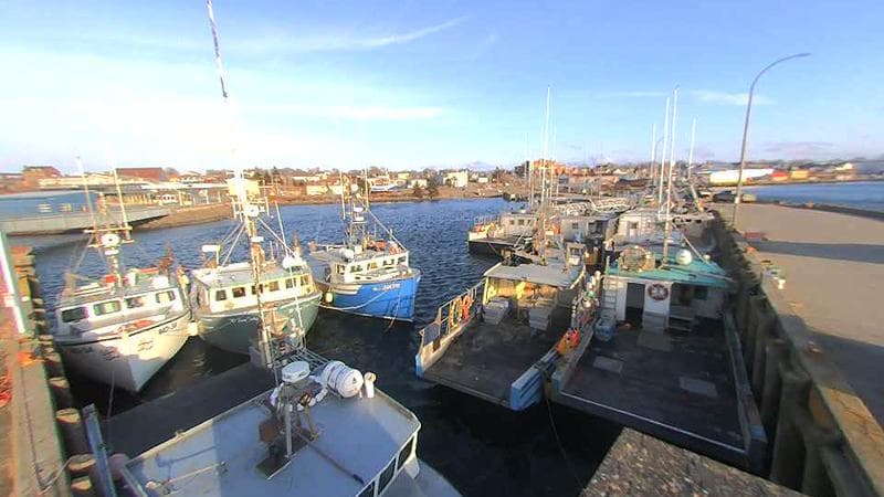 Lobster Rock Wharf East