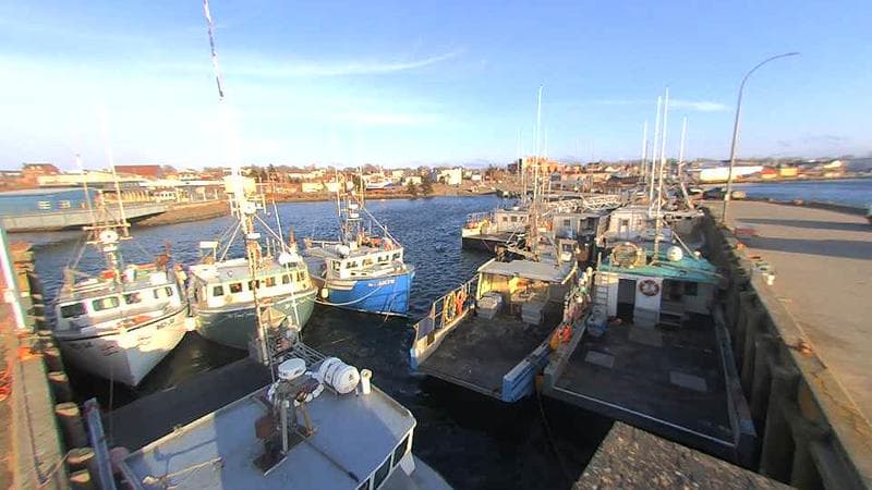 Lobster Rock Wharf East