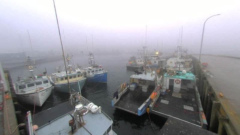 Lobster Rock Wharf East