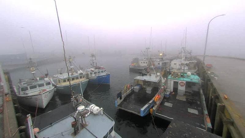 Lobster Rock Wharf East
