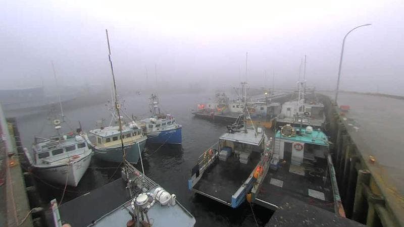 Lobster Rock Wharf East