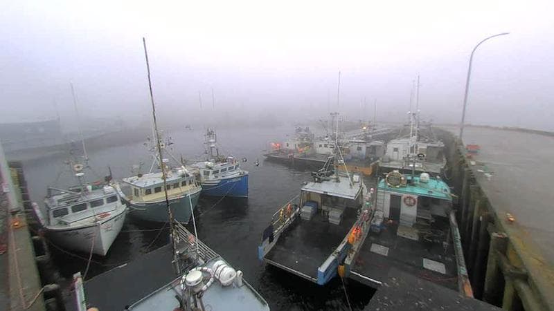 Lobster Rock Wharf East