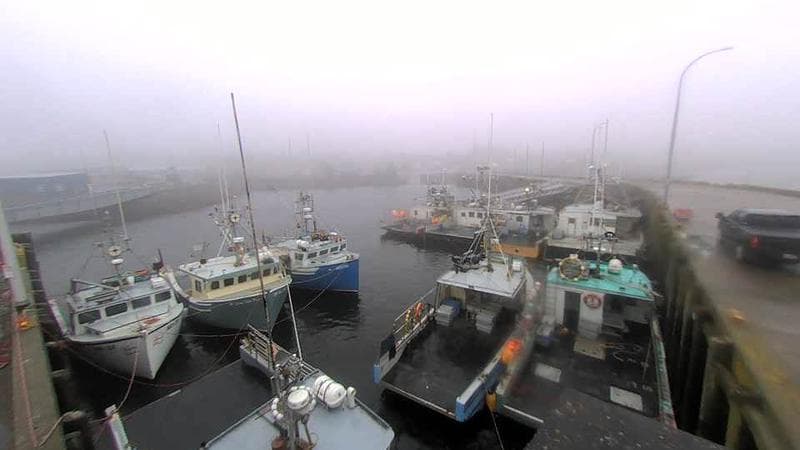 Lobster Rock Wharf East