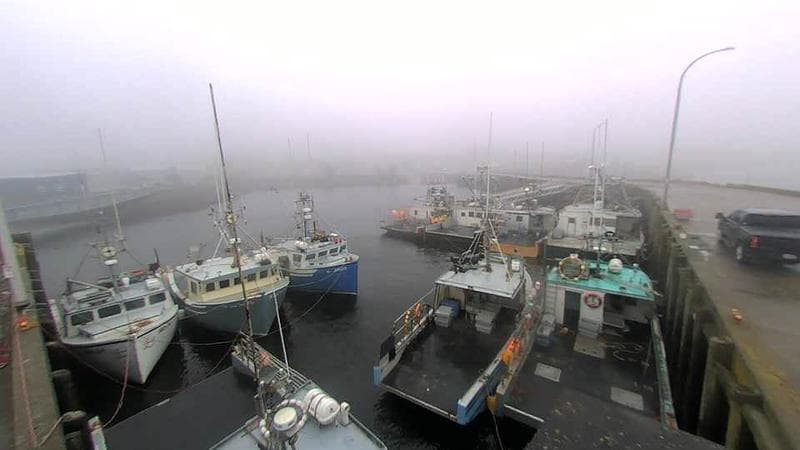 Lobster Rock Wharf East