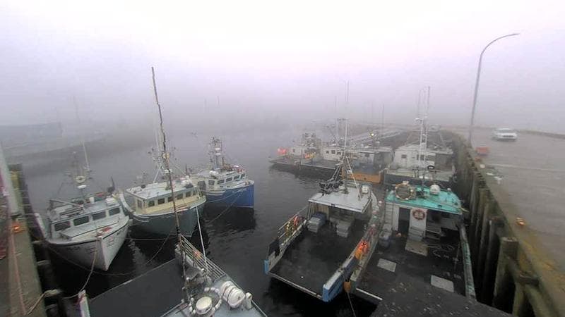 Lobster Rock Wharf East