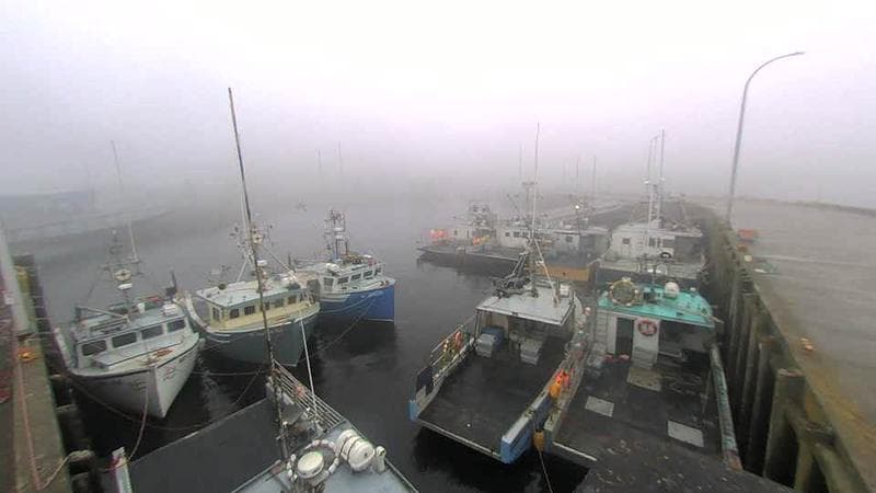 Lobster Rock Wharf East