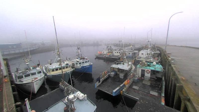 Lobster Rock Wharf East