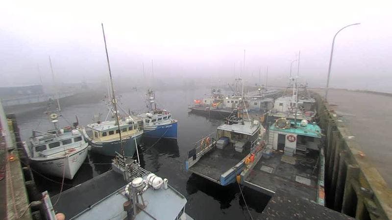 Lobster Rock Wharf East