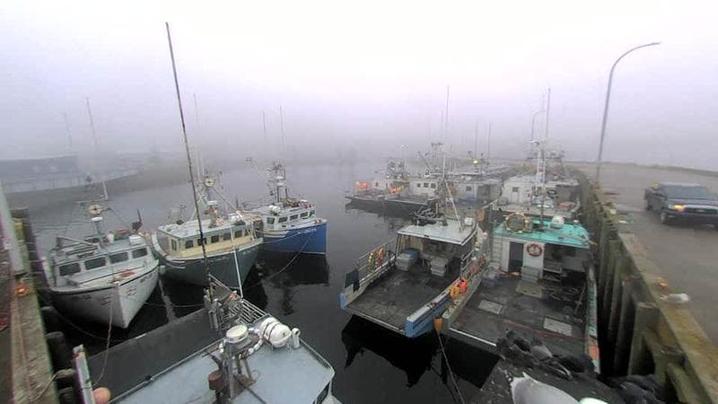 Lobster Rock Wharf East