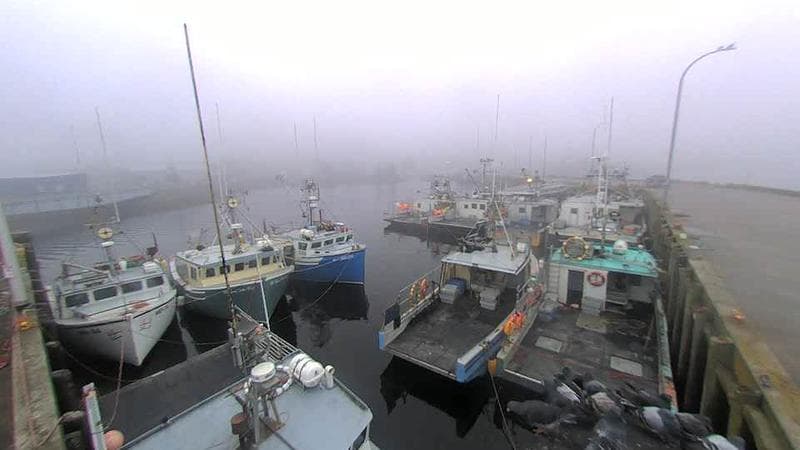 Lobster Rock Wharf East