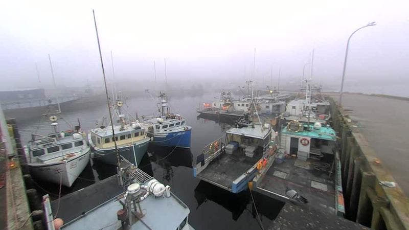 Lobster Rock Wharf East