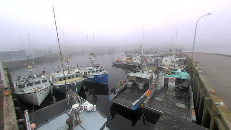 Lobster Rock Wharf East