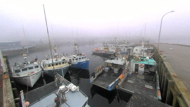 Lobster Rock Wharf East
