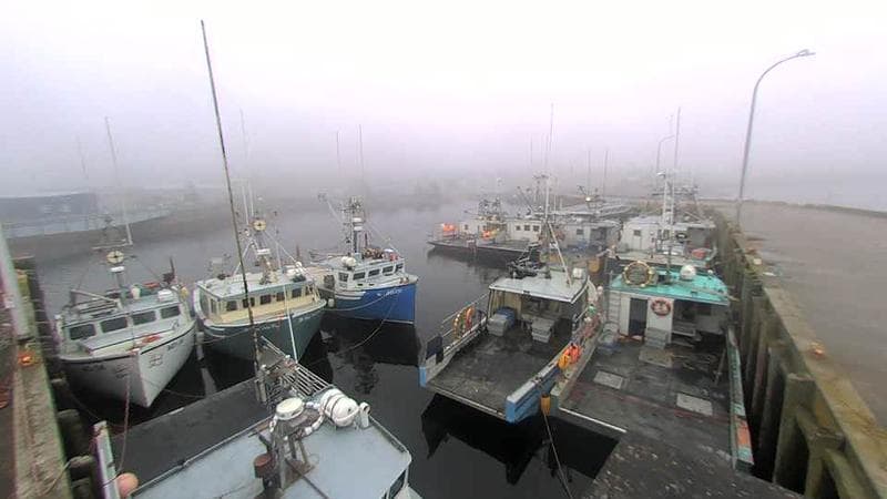 Lobster Rock Wharf East