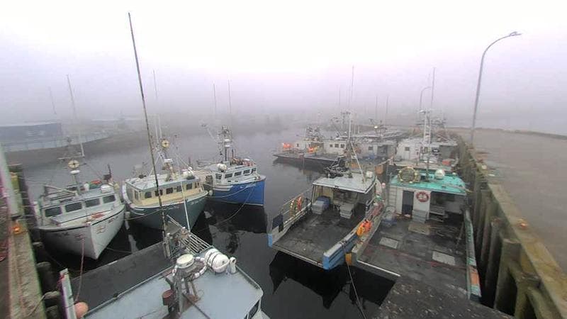 Lobster Rock Wharf East