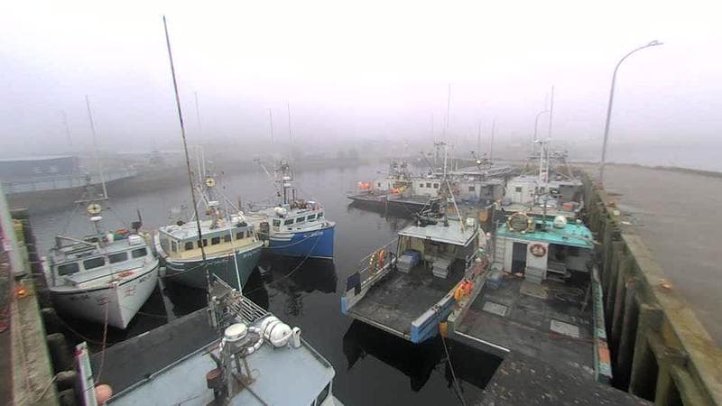 Lobster Rock Wharf East
