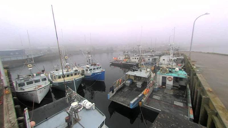 Lobster Rock Wharf East