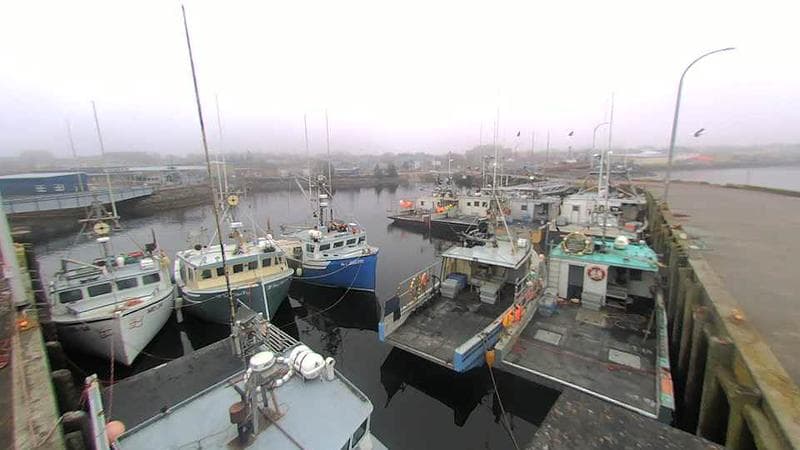 Lobster Rock Wharf East