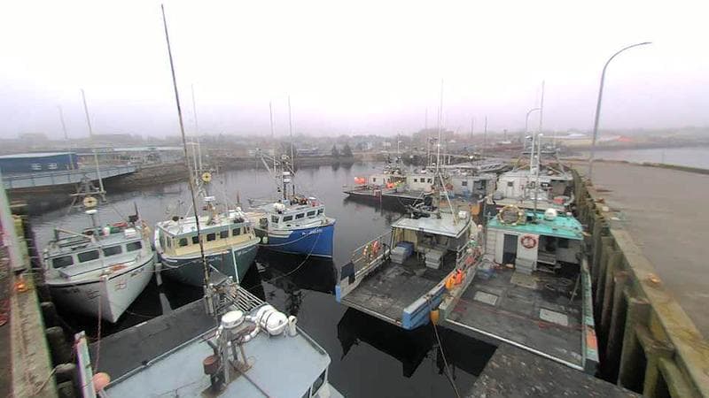 Lobster Rock Wharf East