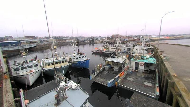 Lobster Rock Wharf East