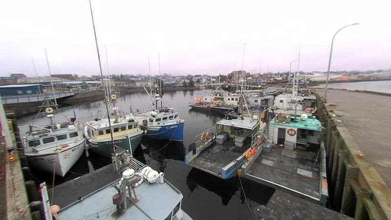 Lobster Rock Wharf East