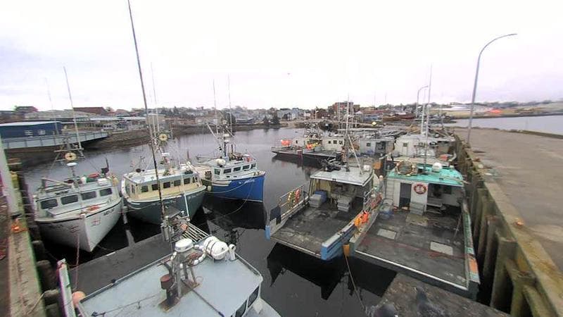 Lobster Rock Wharf East