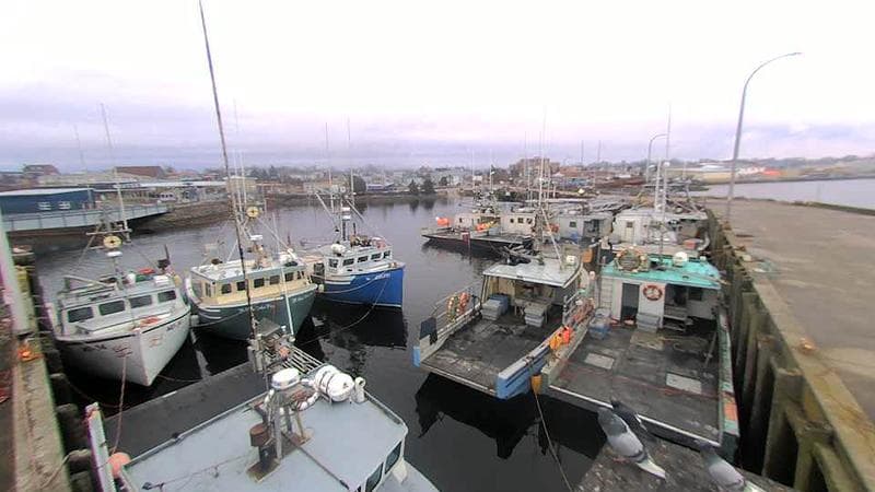 Lobster Rock Wharf East