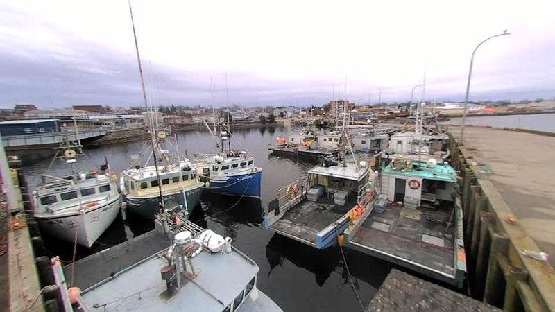 Lobster Rock Wharf East