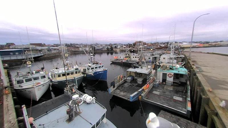 Lobster Rock Wharf East
