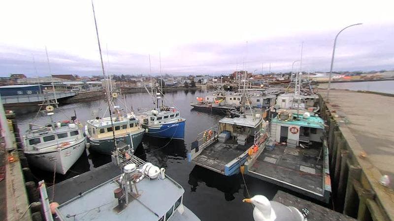Lobster Rock Wharf East