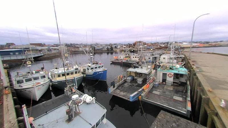 Lobster Rock Wharf East