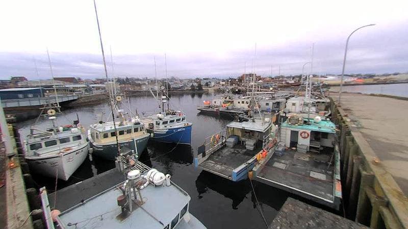 Lobster Rock Wharf East