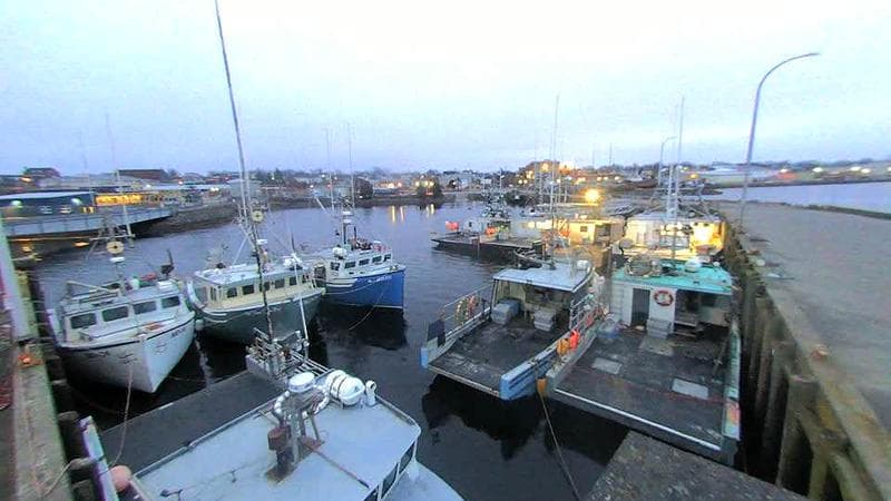 Lobster Rock Wharf East