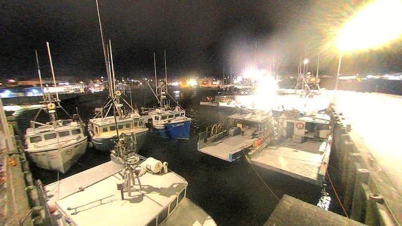 Lobster Rock Wharf East