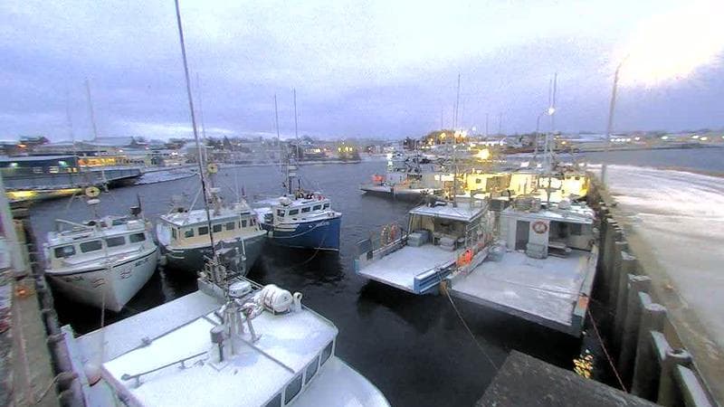 Lobster Rock Wharf East