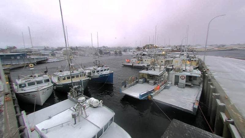 Lobster Rock Wharf East